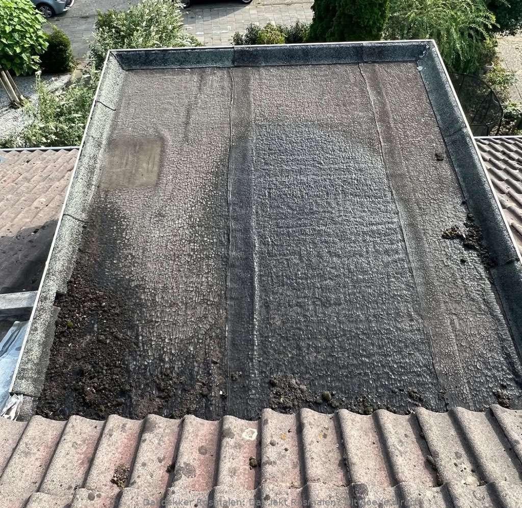 Dak Lekt Rosmalen