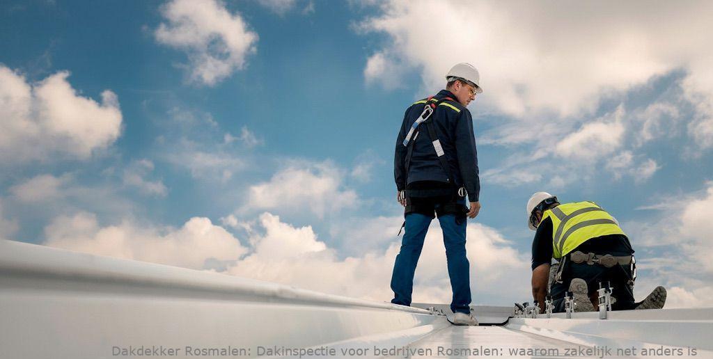Dakinspectie Voor Bedrijven Rosmalen