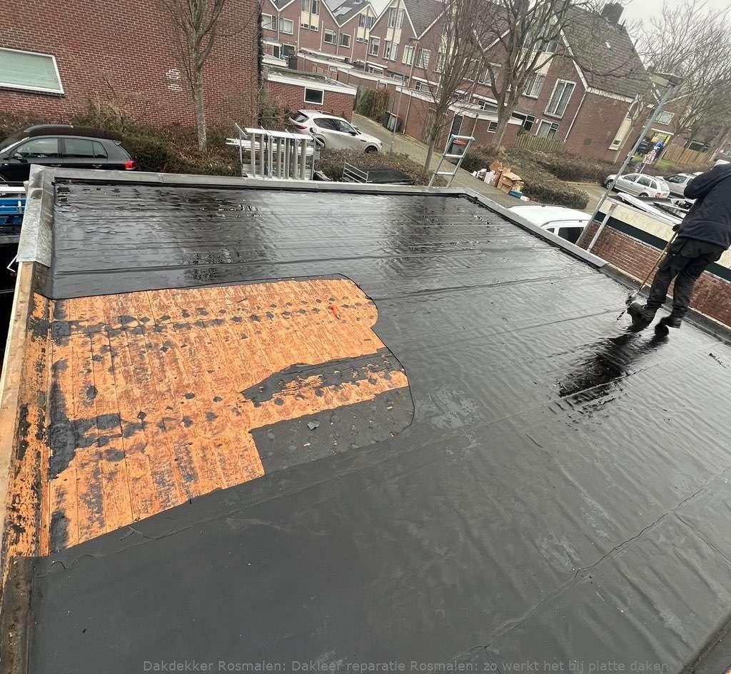 Dakleer Reparatie Rosmalen