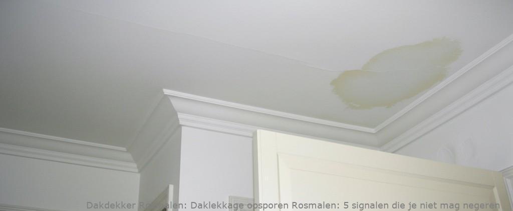 Daklekkage Opsporen Rosmalen 1