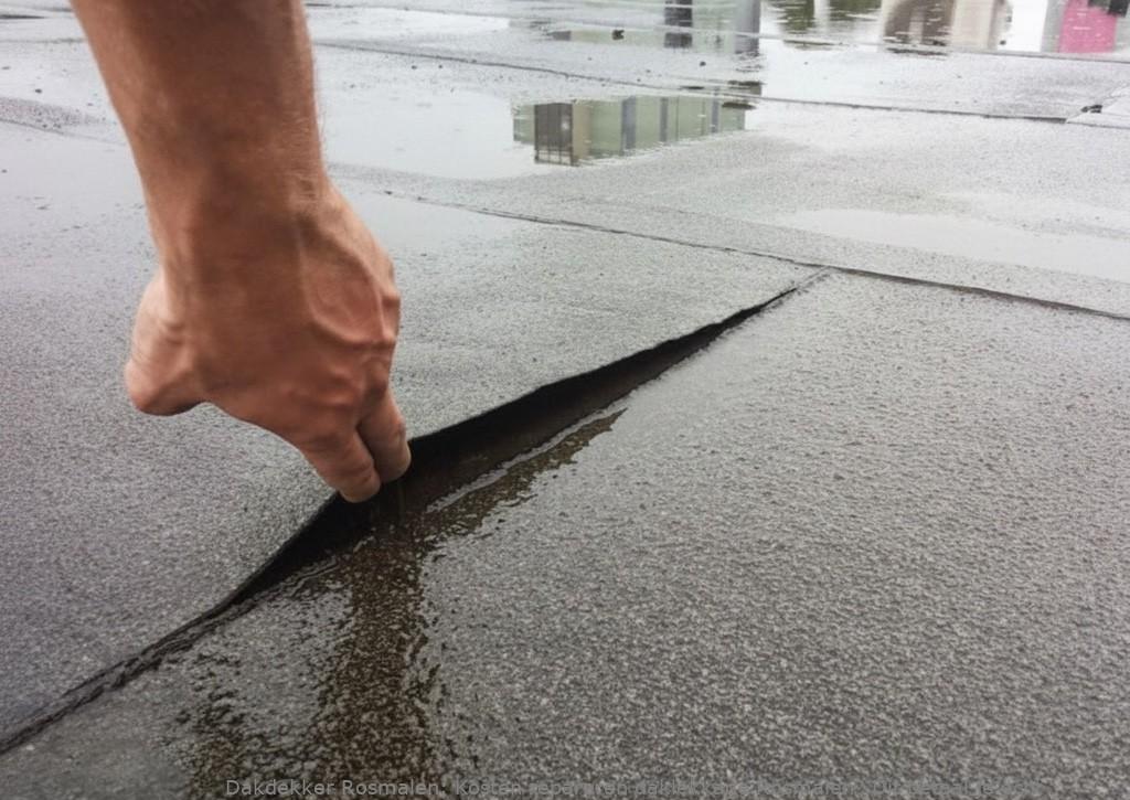 Kosten Repareren Daklekkage Rosmalen