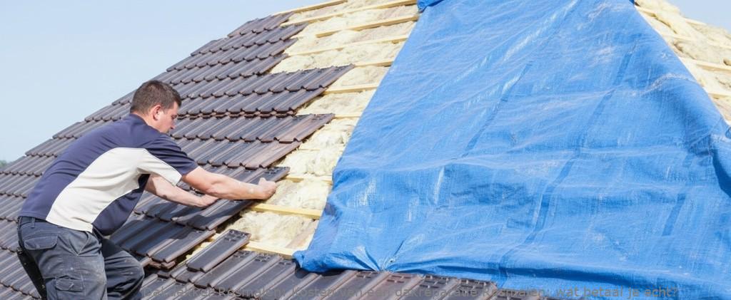 Kosten Van Een Dakreparatie Rosmalen