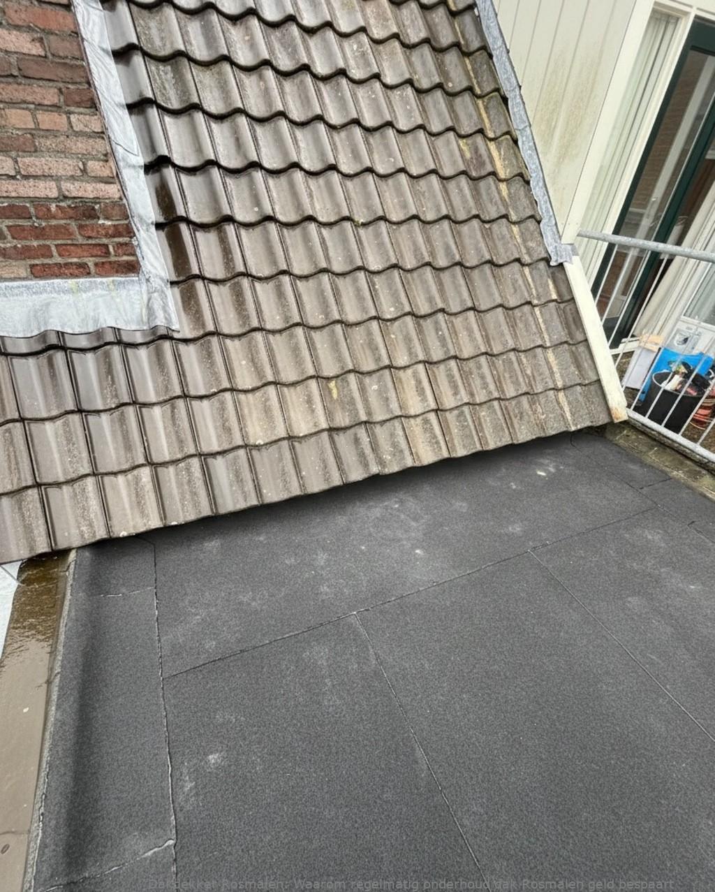 Onderhoud Dak Rosmalen