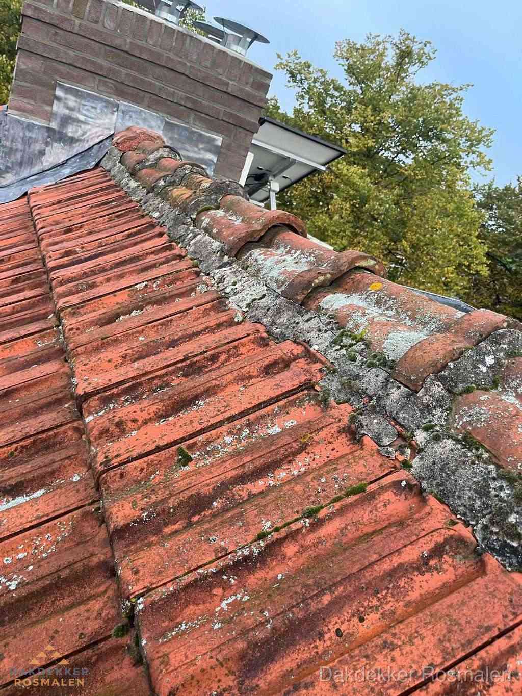 Renovatie Hellend Dak Rosmalen