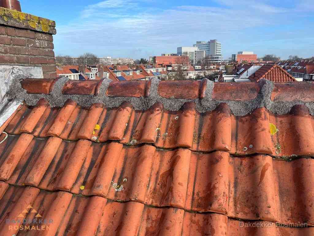 Rosmalen Daken Renoveren