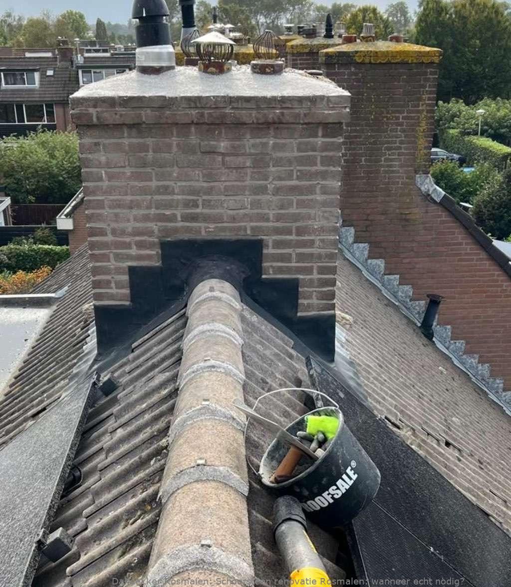 Schoorsteen Renovatie Rosmalen 1