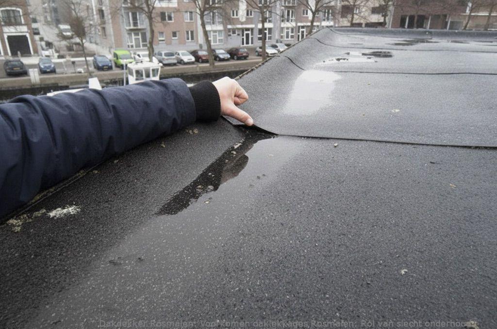 Voorkomen Daklekkages Rosmalen